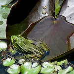 Prázdninový dům Le Verger