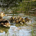 Le Verger Prázdninový dům