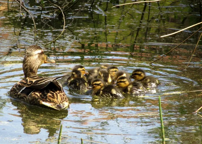 Le Verger Дом отдыха